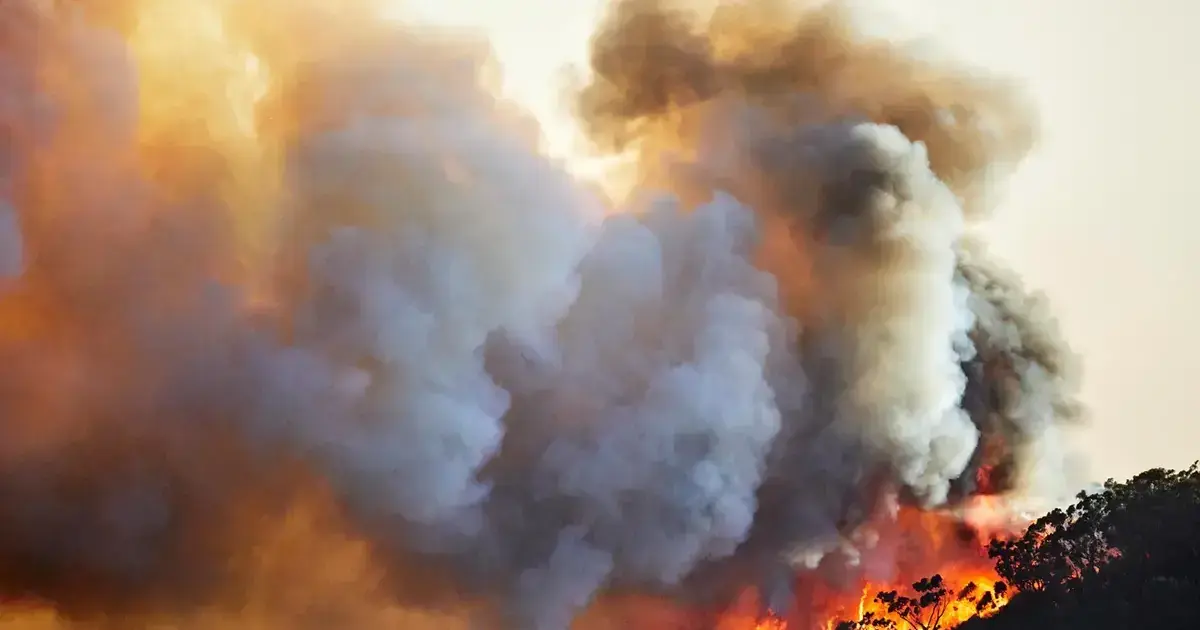 ¡Increíble! El cambio climático: Más 70% de colombianos afectados y solo 5% de energía limpia 1 “El cambio climático y la imprudencia humana han desatado incendios forestales sin precedentes, arrasando ecosistemas y poniendo en riesgo vidas.”