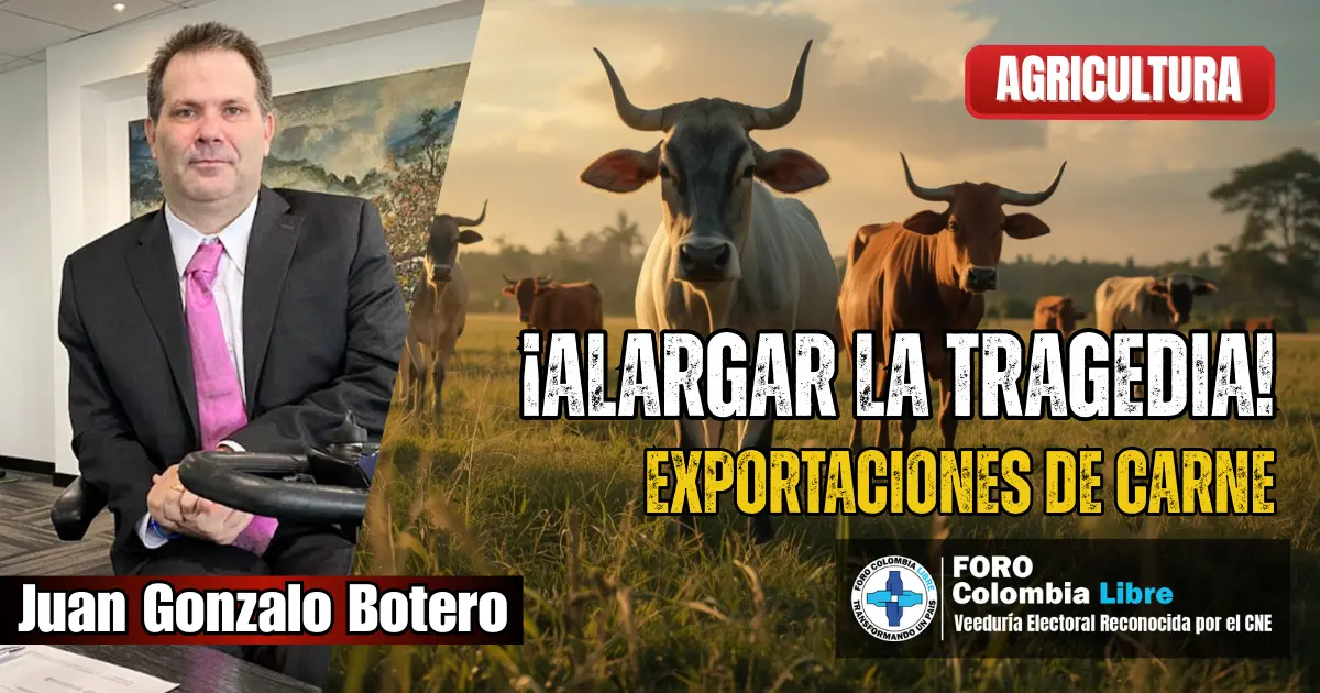 Exportaciones de carne: ¡Impactante! Error que alarga la tragedia 1 Juan Gonzalo Botero analizando exportaciones de carne frente a ganado colombiano en pastoreo natural.