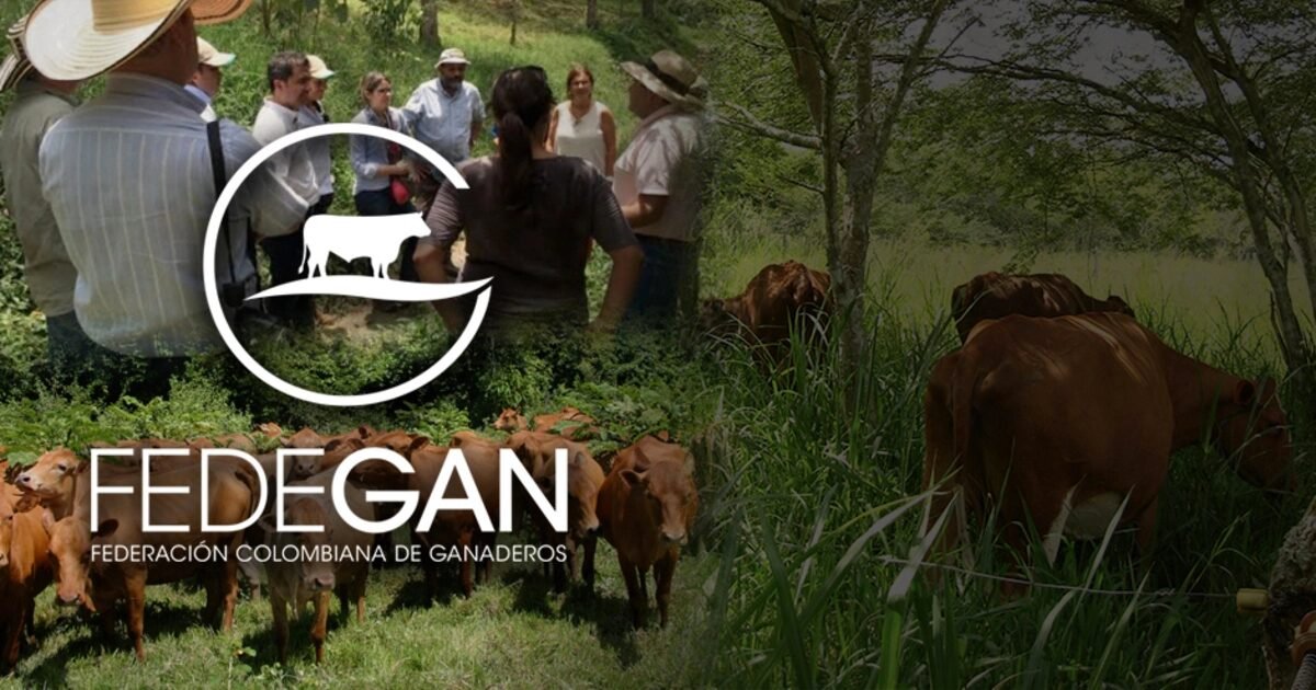 Los gremios en su encrucijada 2 Fedegán y productores ganaderos en campo colombiano, representación del sector agropecuario y los gremios en su encrucijada.